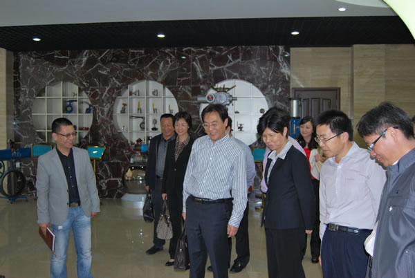 h֧ӛLɳLB˾ȡõĘsuCc