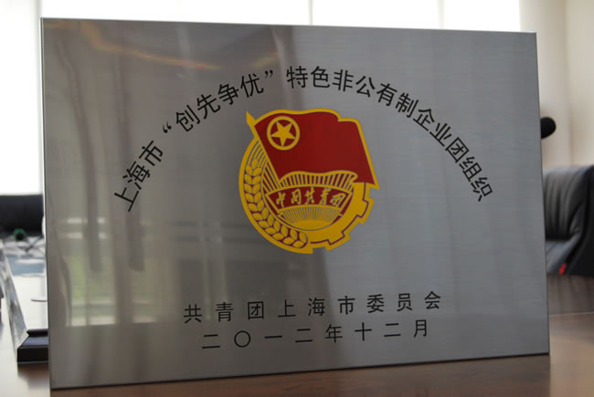 上海市‘創(chuàng)先爭優(yōu)’特色非公有制企業(yè)團組織-獎牌