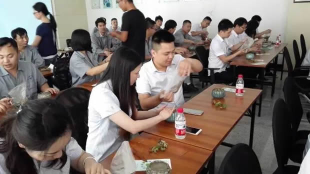 �Aͤ�(zh��n)�Fί(li��n)���Ϻ������y�T�S�_չ΢���^�GֲDIY��ӣ��D7��